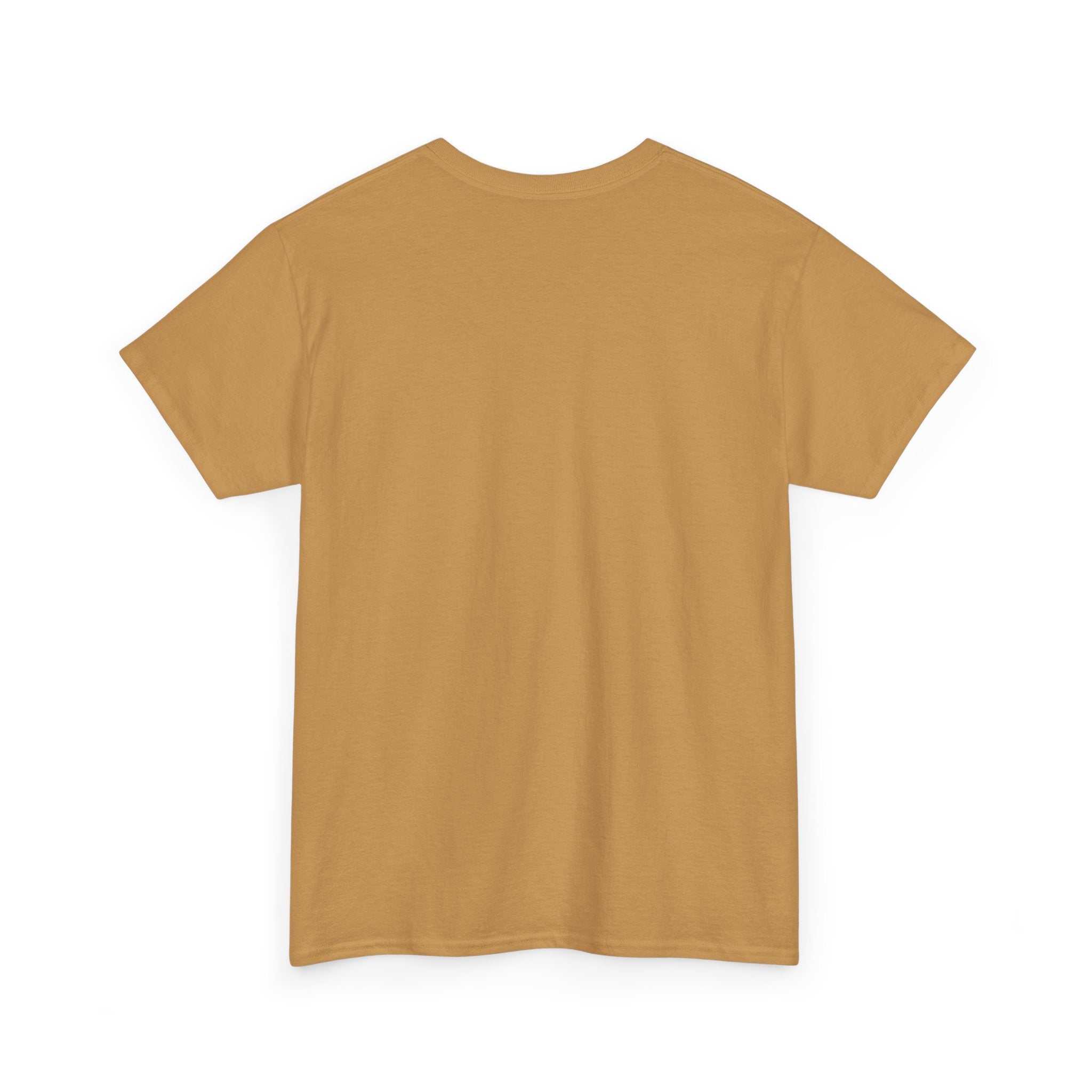 Pumpkin Spice & Bad Decisions Heavy Cotton Tee