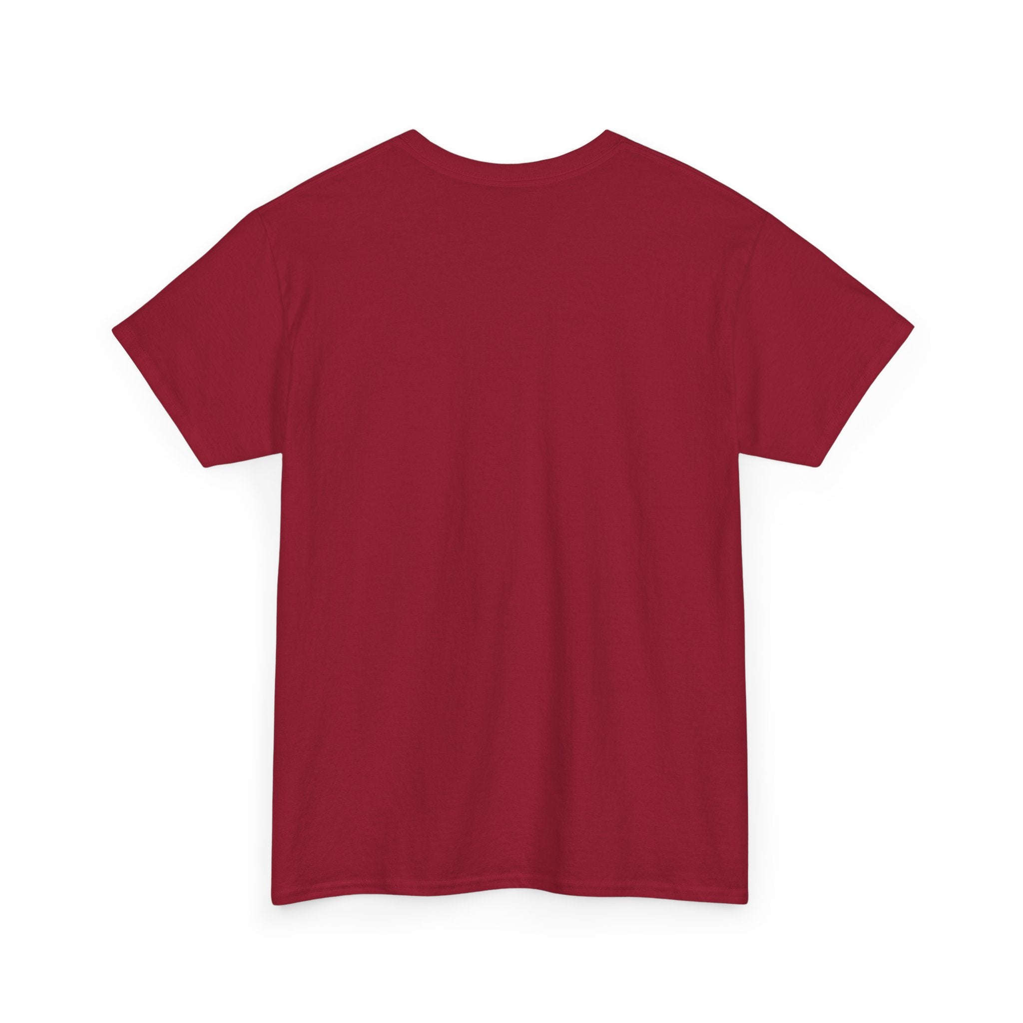 Beardaful t-shirt- Don't Hate me Cause I'm Beardaful 2